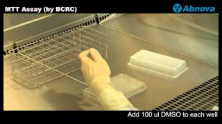 MTT Assay by BCRC [upl. by Haididej]