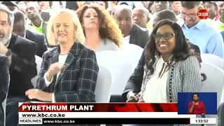 American company Kentegra constructs modern pyrethrum processing plant in Naivasha [upl. by Ynaittirb]