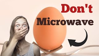 Top 10 Reasons Not to Microwave an Egg [upl. by Eissirk946]