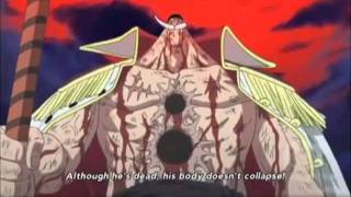 One Piece Epicness  Whitebeards Death at Marineford [upl. by Hsirahc]