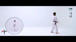 9th Taekwondo New Poomsae 나래 Narae for Age 50 60 Korean version [upl. by Conrad]