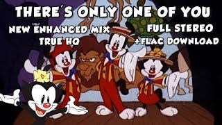 Animaniacs Theres Only One of You  New Enhanced Soundtrack Mix HQ [upl. by Edithe633]