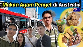 Makan Ayam Penyet di Restoran Indonesia 🇮🇩 di Australia 🇦🇺 [upl. by Lipson]