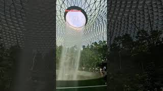 Jewel Changi Airport jewel jewelchangiairport bandara changiairport singapore singapura scoot [upl. by Veda]