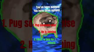 Vibing Pug trending [upl. by Hodess]