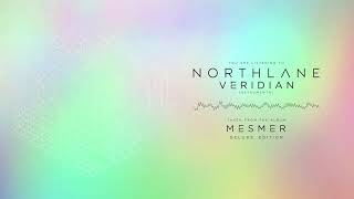 Northlane  Veridian Instrumental [upl. by Neehahs]