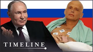 Why Putin Ordered Alexander Litvinenkos Murder  Hunting The KGB Killers  Timeline [upl. by Hippel]