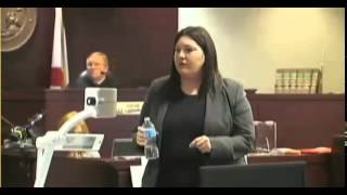 Julie Schenecker Trial  Day 8  Part 2 Defense Closing [upl. by Ettenaj]