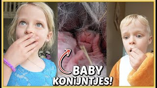 ER ZiJN BABY KONiJNTJES GEBOREN 🐰💖  Bellinga Vlog 2468 [upl. by Anawat]