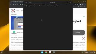 chrome os flex on a chromebook does not make any seans but it is [upl. by Iadrahs]