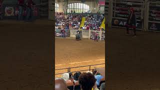 8 SECONDS BULL RIDING bullriding bull animal rodeo texas challenge competition [upl. by Flan]