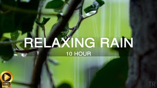 10 Hour  Rain Sounds for Sleep  Meditation  Study  Focus  Spa  Calming Background Ambience [upl. by Tsirc]