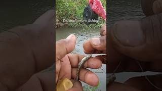 Mancing Ikan Uceng Umpan Malkist Keju Manis Umpan Jitu 993 [upl. by Anuahsed]