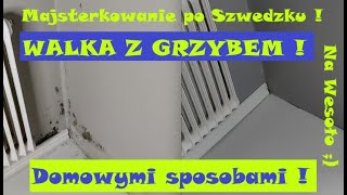 Walka z GRZYBEM i PLEŚNIĄ domowymi sposobami  Pozbądź się grzyba TANIO i SKUTECZNIE  Na Wesoło [upl. by Ateerys]