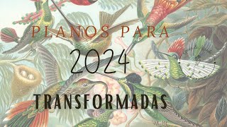 Planos para 2024 [upl. by Ydok904]