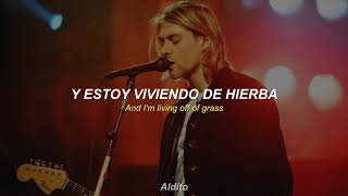 Nirvana  Something In The Way Album Version Sub Español [upl. by Wilbert]