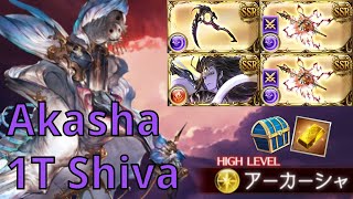 【グラブル】アーカーシャ 1T シヴァ【GBF】Akasha 1T Shiva Burst 4B2S [upl. by Saudra]