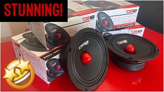 WOW DS18 ProGm 65” door speaker review midbass midrange [upl. by Olraced]