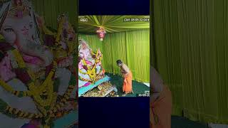 We Wont Believe This🙏🙏 amazing shorts lordganesha ganapathi bappa ytshorts [upl. by Raama981]