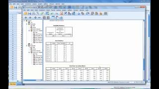 Calculating and Interpreting Cronbachs Alpha Using SPSS [upl. by Tung]