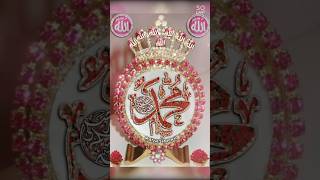 Maulaya Salliwasallim Daiman Abadan Ala Habibi love naat shortvideos 2024 [upl. by Ynohtnaeoj]