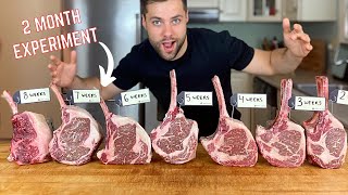 How long should you dry age a steak 7 RIBEYES go head to head [upl. by Nitsirhc]