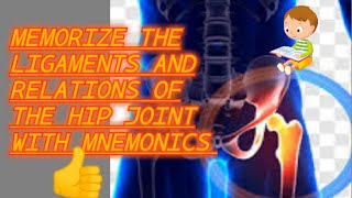 memorize the ligaments and relations of hip joint with mnemonics [upl. by Nomi]