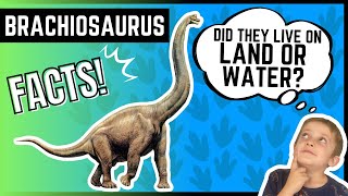 BRACHIOSAURUS  Educational Dinosaur FUN Facts FOR KIDS [upl. by Randolf560]