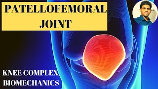 PATELLOFEMORAL JOINT PATELLA ANATOMY amp BIOMECHANICS [upl. by Raybin]