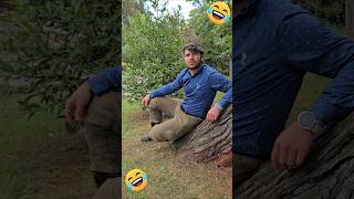 😁😂hung on the tree🤣🤣 funny shortscomedy komik comedy komiko комикс كوميديا कॉमेडी 喜剧 [upl. by Jaquelin]