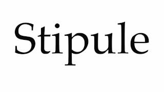 How to Pronounce Stipule [upl. by Renwick]