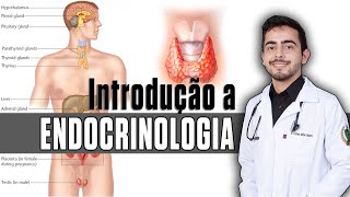 Introdução a Endocrinologia │ Fisiopatologia amp Fisiologia │ GUYTON Capítulo 75 [upl. by Horgan]