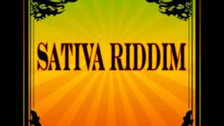 DJ ENDLEZZ  Sativa Riddim Mix [upl. by Rawna]