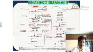 Ligase chain reaction LCR [upl. by Schellens]