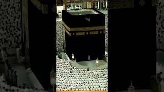 makkah live [upl. by Noyart]