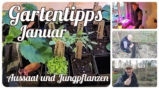 Aussaat und Jungpflanzen 🌱 Gartentipps im Januar [upl. by Nihhi]