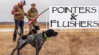 The Only Way To Hunt A Flushing Dog With A Pointer [upl. by Annuahs]