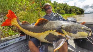 PIRARARA GIGANTE O coração saltava enquanto as pernas tremiam Rio Madeira [upl. by Kenji162]