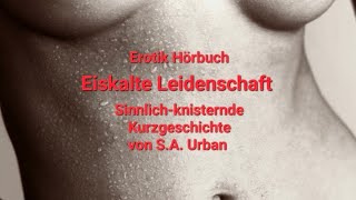 Eiskalte Leidenschaft  Erotik Hörbuch von SA Urban  erotische Kurzgeschichte lesung hörbuch [upl. by Fineberg]