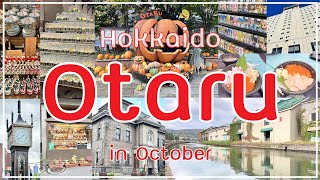 Hokkaido Road Trip Day3 in Japan Vlog  Autumn in Hokkaido  Otaru in October  Autumn in Otaru [upl. by Suryc604]