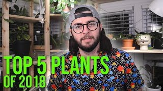 My Top 5 Plants of 2018 [upl. by Adnhoj]