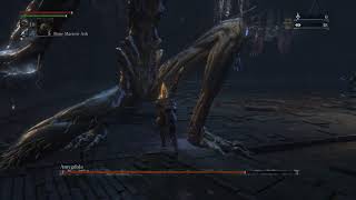 Bloodborne Amygdala Defiled chalice Boss Fight  Easy Kill strategy Ludwig [upl. by Aissatan687]