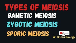 Types of Meiosis Gametic Zygotic Sporic [upl. by Clements]