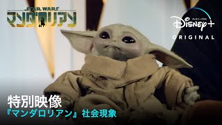 『マンダロリアン』社会現象｜特別映像｜Disney（ディズニープラス） [upl. by Helms]