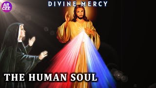 Divine Mercy Catholic Scripture Reflection Human Soul [upl. by Eanram]