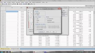 Formation SPSS Test Khideux X² [upl. by Holmann]