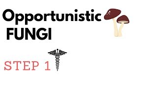 Opportunistic Fungi  Aspergillus Mucormycosis P jirovecii Candida amp Cryptococcus STEP1 [upl. by Bertrand]