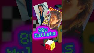 80s Mullets‼️ The Good ♥️ The Bad 😝 The Ugly 🤮 80s 80sstyle mullethaircut 80shair [upl. by Modnarb]