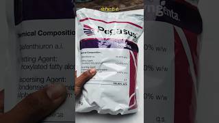 Syngenta Pegasus  Diafenthiuron 50 wp insecticide agriculture shortvideo syngenta [upl. by Yedarb]