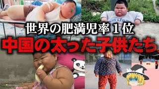 【ゆっくり解説】ハイパー肥満児が爆増…おデブな中国の子供の闇をゆっくり解説！ [upl. by Retrop]